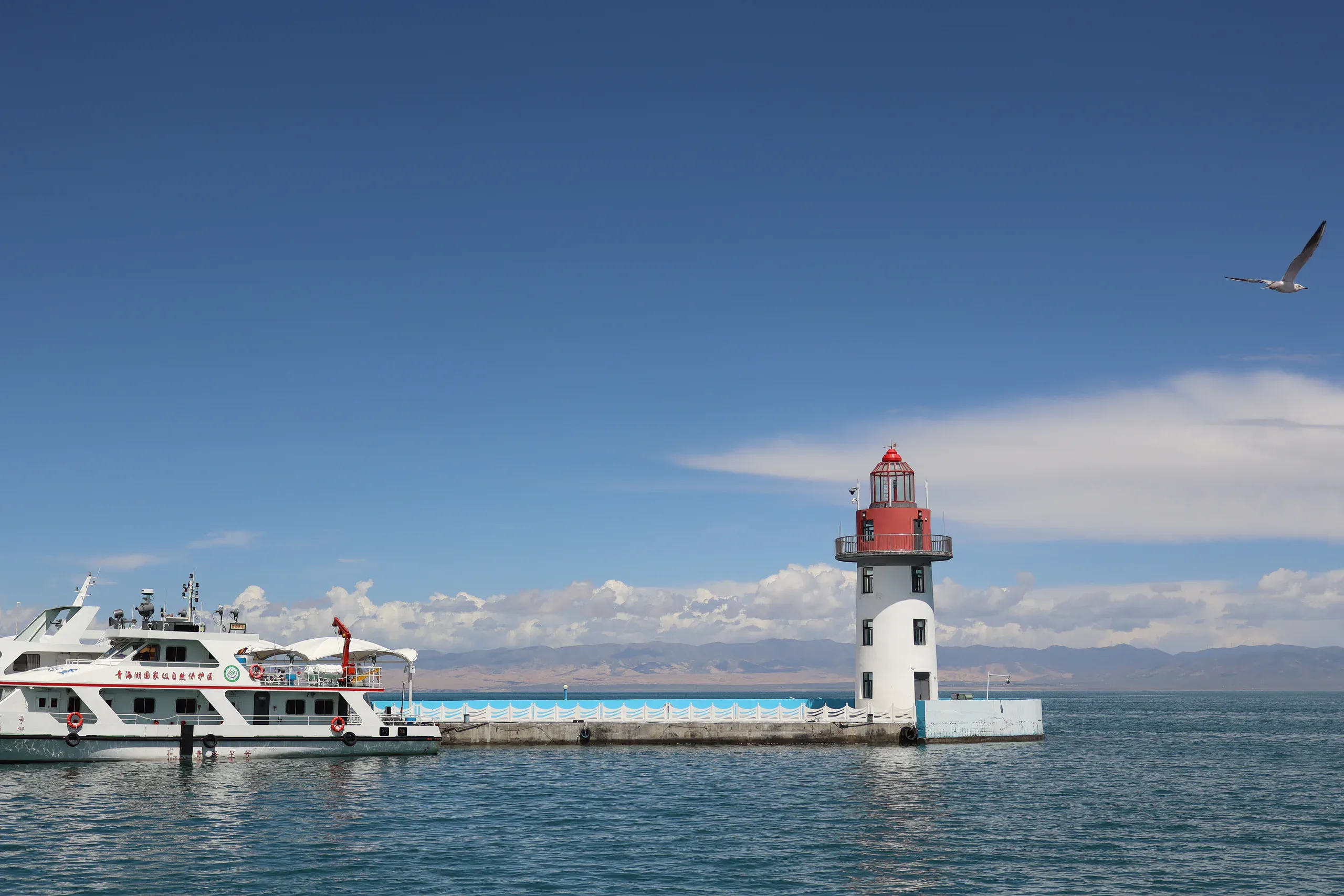 湖边码头、白色游船和红顶灯塔，天空中有一只飞鸟